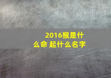 2016猴是什么命 起什么名字